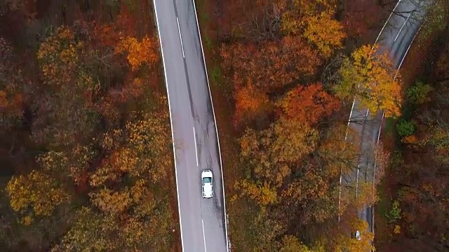 无人机:空中公路旅行-飞行在曲折的道路上的秋天森林4k视频素材