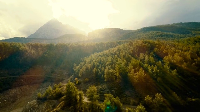 日落时的森林鸟瞰图视频素材