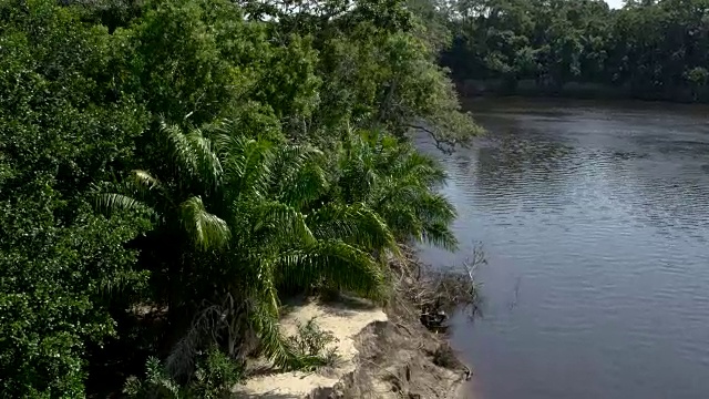 穿过森林覆盖的河岸。视频素材