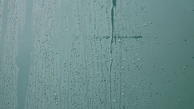 雨滴从绿墙上落下视频下载