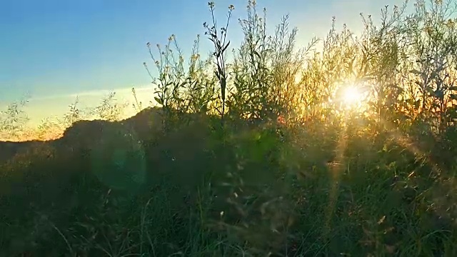 日落和自然视频素材