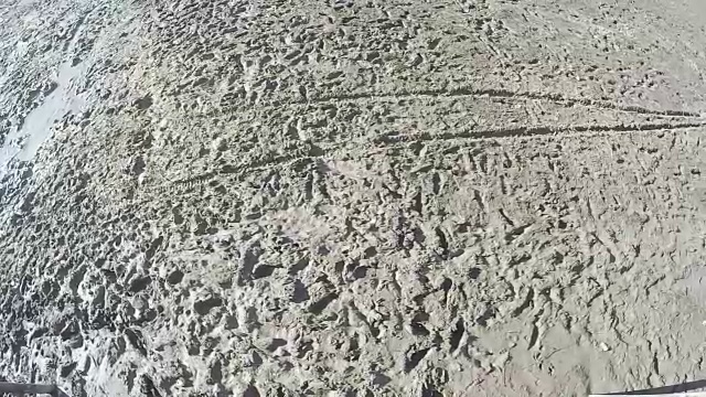 河里泥里的脚印视频下载