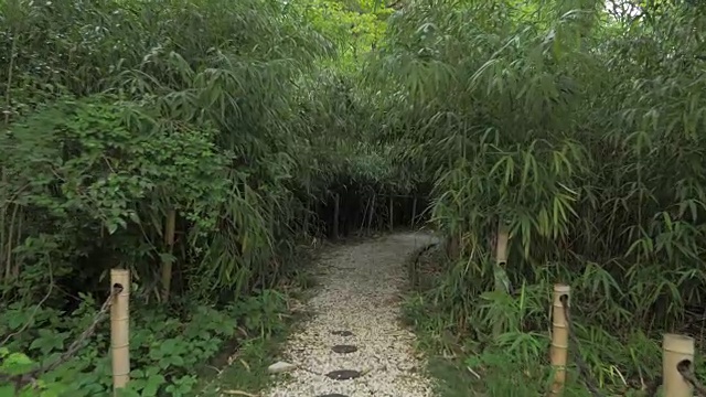 穿过竹巷，乔治亚植物园视频素材