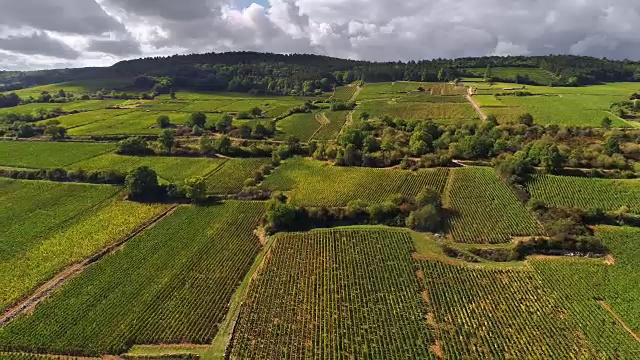 一架无人机从法国勃艮第地区的葡萄园飞回来视频下载