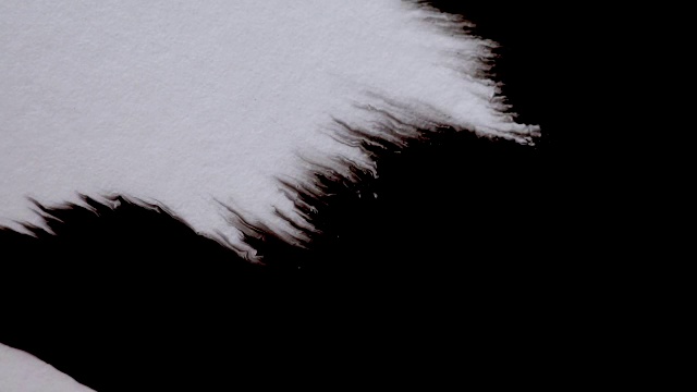 在白色背景上溅上黑色墨水。油墨扩展混合模式与视频。墨水在羊皮纸和水上视频下载