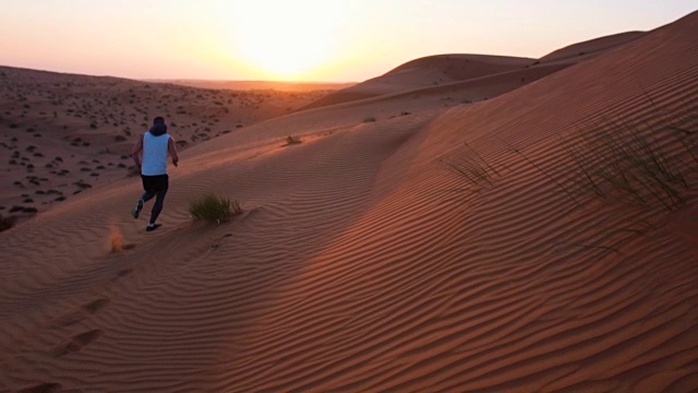 日落时分在沙漠中奔跑视频素材
