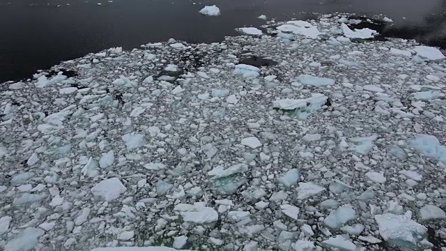 南极勒麦尔冰视频下载