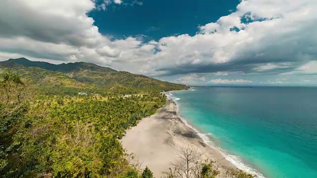 阳光明媚的印度尼西亚龙目岛热带沙滩上的棕榈树视频素材