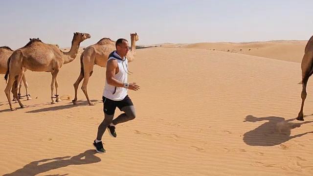 奔跑在沙漠附近的骆驼视频素材