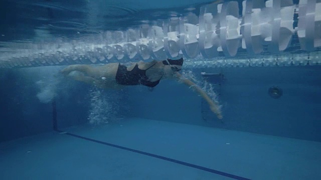 女子职业游泳运动员在泳池水下视野中自由泳视频下载
