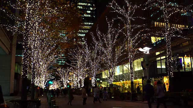 日本丸之内的冬季照明视频素材