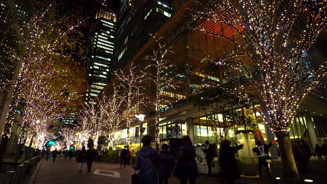 日本丸之内的冬季照明视频素材