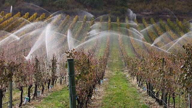 灌溉喷灌机梅洛葡萄园奥肯那根谷视频素材