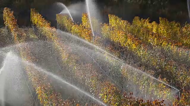灌溉喷灌机梅洛葡萄园奥肯那根谷视频素材