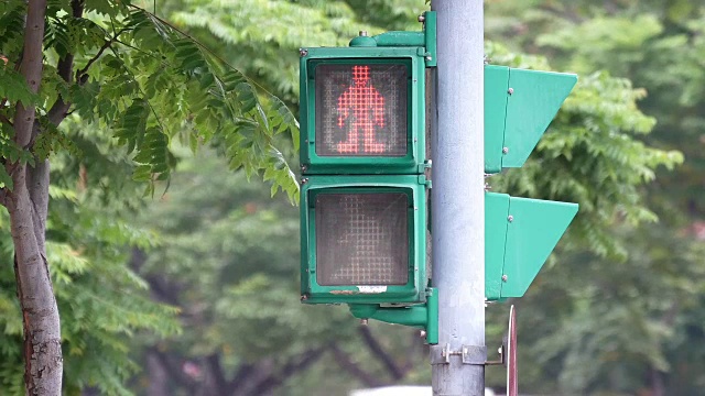 城市交通灯从绿色变成红色，行人步行视频素材
