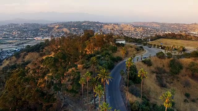 从高高的棕榈树上俯瞰洛杉矶华盛顿山地区视频素材