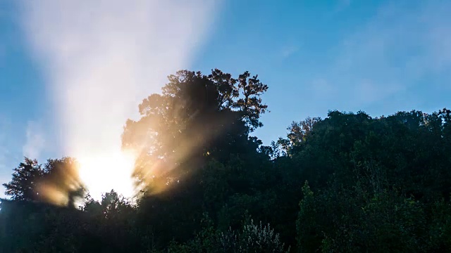 阳光透过森林与流动的雾，延时视频视频素材