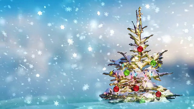 雪和圣诞树视频素材