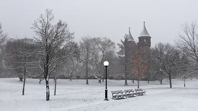 哈特福德布什内尔公园的冬天视频素材