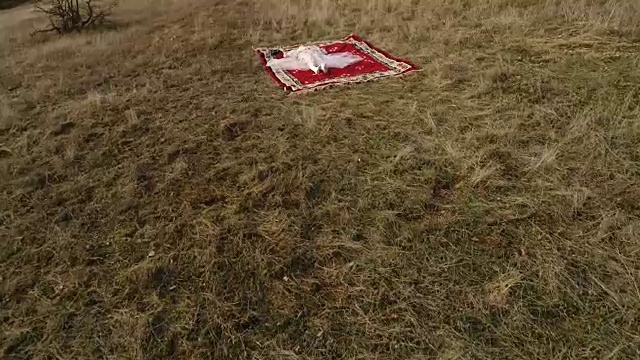 女孩躺在草地上视频素材
