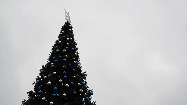 城市的主要圣诞树。视频素材