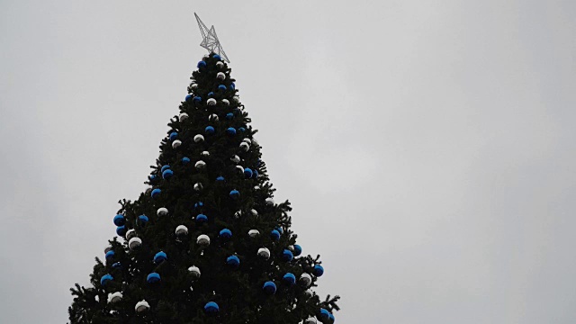 城市的主要圣诞树。视频素材