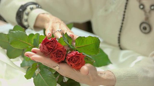 红玫瑰在修剪过的女人手上。视频下载