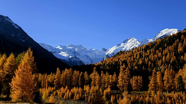 秋季Morteratsch冰川，Morteratsch山谷，蓬特雷西纳，恩加丁，格里森，瑞士，欧洲阿尔卑斯山视频素材