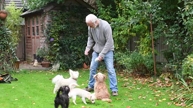 老人和宠物狗在后花园视频素材