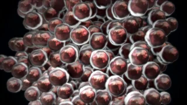 细胞分裂3D CG动画(B)视频素材