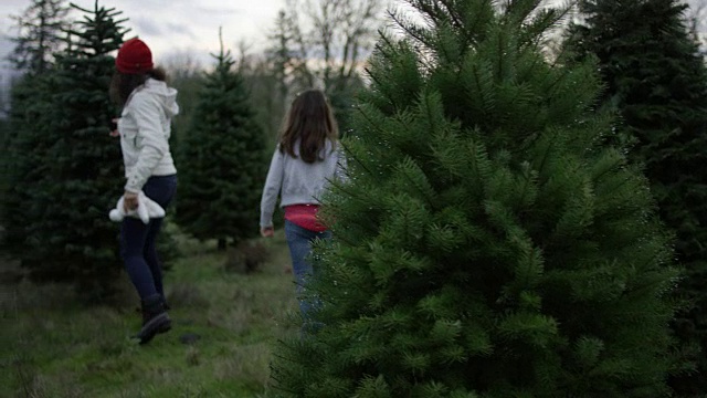 年轻的民族母亲和她的孩子寻找一棵圣诞树视频素材