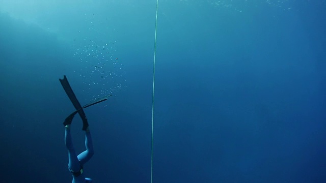 自由潜水员沿着绳索潜水视频素材