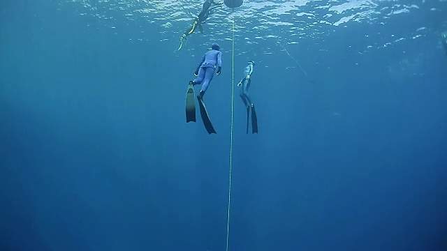 自由潜水员伙伴大都会和跟随另一个自由潜水员视频素材