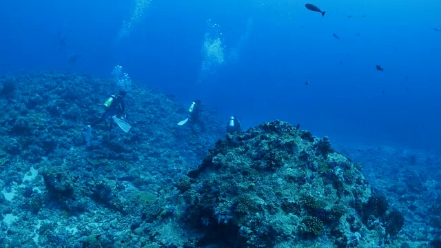 海底的珊瑚礁视频素材