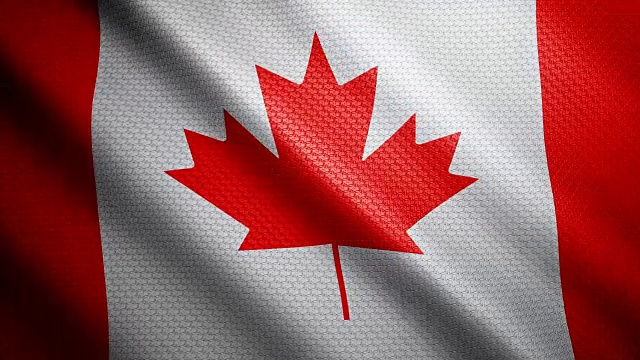 加拿大国旗4 k视频素材
