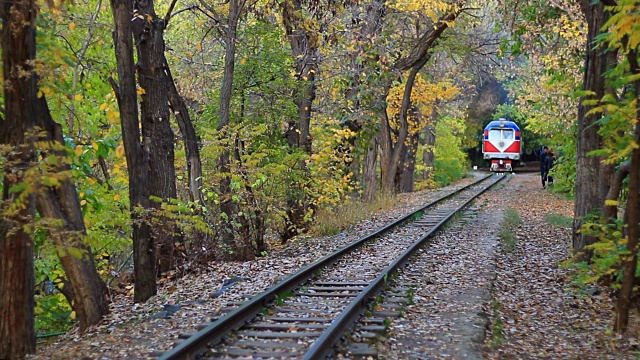 火车在美丽的秋日森林中出发视频下载
