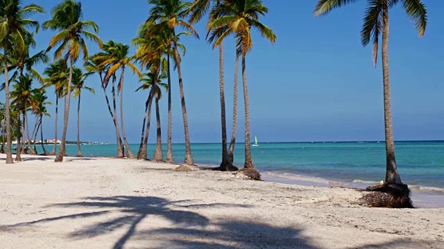 加勒比海的热带海滩视频素材