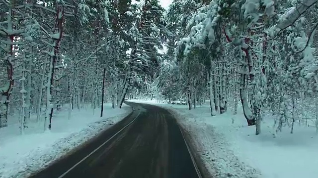 无人驾驶飞机拍摄的冬日木材画面中的独行者视频素材