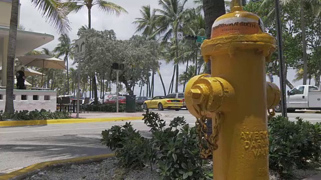 黄色消防栓和行人通过海洋大道，南海滩，迈阿密，美国佛罗里达，北美视频素材