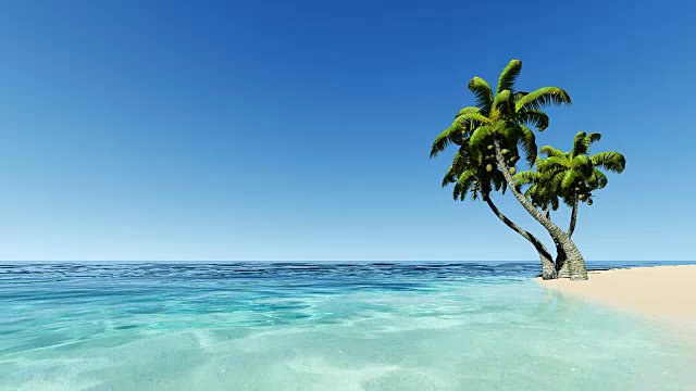 绿海中的热带岛屿，棕榈树。视频下载