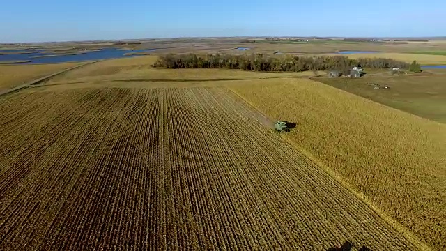 玉米田的联合收割机视频素材