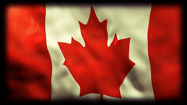飘扬的加拿大国旗视频素材