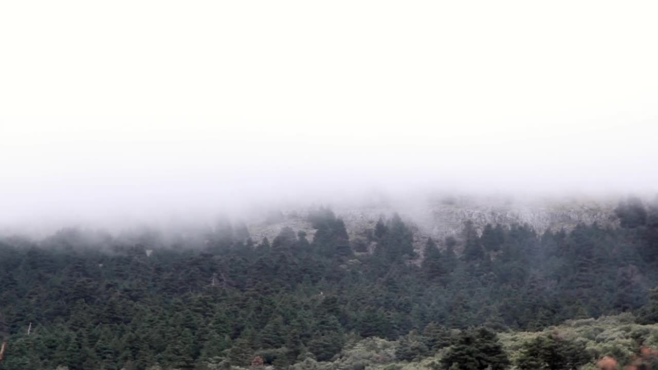 在安达卢西亚马拉加的内夫斯山脉自然公园的皮萨波斯森林中，浓雾笼罩着视频下载