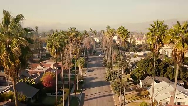 在加州帕萨迪纳市的棕榈树空中飞行视频下载