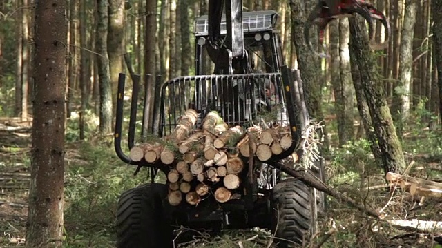 松木和木材由货代在森林中采伐林业设备视频素材
