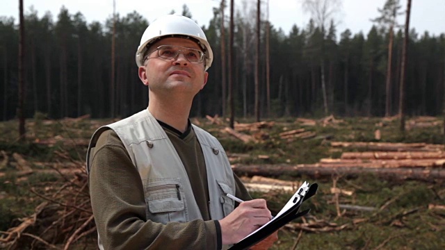 在后勤经理的控制下，在森林中采伐松木视频素材