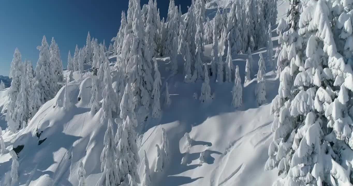 鸟瞰图一个人滑雪冰冻树粉末山度假村滑雪跑在华盛顿州史蒂文斯帕斯森林视频素材