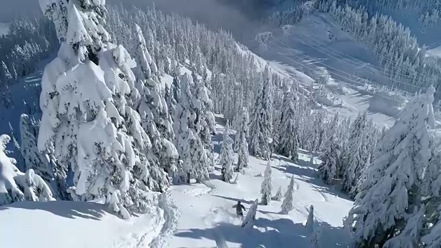 一架无人机击中了一名在华盛顿州史蒂文斯山口瀑布山森林滑雪的人视频素材