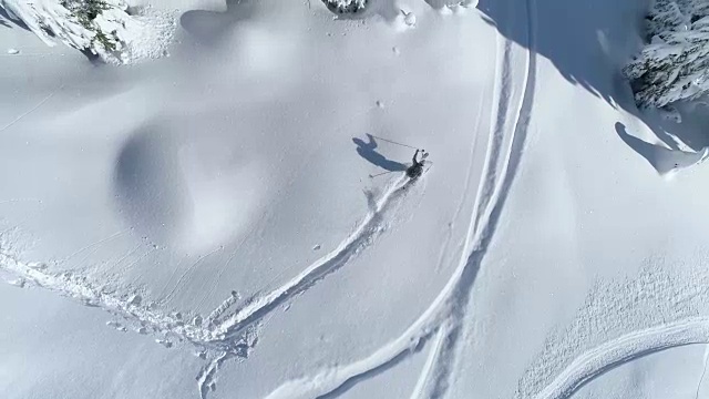 滑雪通过树粉雪冒险-无人机从上到下俯瞰视频素材