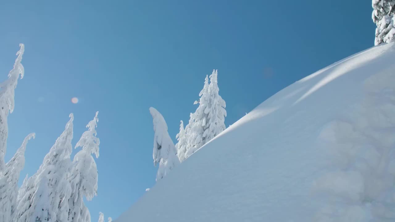 滑雪者跳跃空气在阳光粉末雪-有趣的极限冬季运动户外活动视频素材